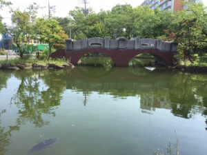 ［6］荒川遊園と都電荒川線