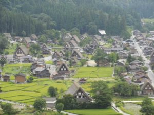 ［6］Week 14 : Zoomed in