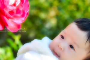 ［6］Week 13 : High Key