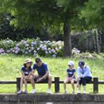 ［6］梅雨の中休み