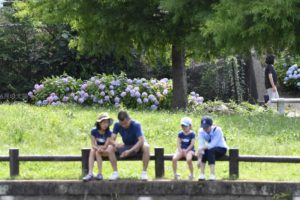 ［6］梅雨の中休み