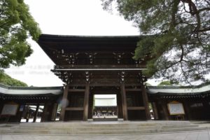 ［6］真夏の明治神宮で心を清めてみてはいかがでしょうか！？