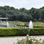 ［6］神代植物公園で真夏の花撮影