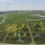 ［6］世界一の田んぼアート、２０１６年はドラクエ！！