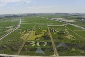 ［6］世界一の田んぼアート、２０１６年はドラクエ！！