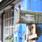 ［6］東京の中のアメリカ、何処を切り取っても画になります。