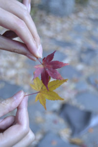 ［6］ニコンカレッジ　−作品の実践的アドバイス講座−