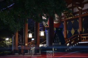 ［6］Week 20 : Nightowl