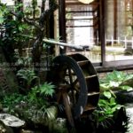 ［6］深大そばと錦鯉