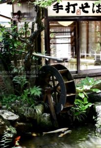 ［6］深大そばと錦鯉