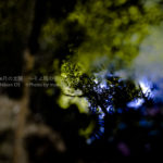 ［6］自分にはない感性の写真！？