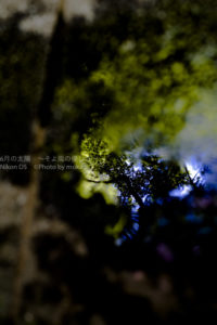 ［6］自分にはない感性の写真！？