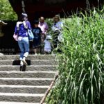 ［6］夏休みの思い出の１枚