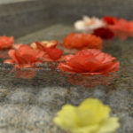 ［6］真夏のベゴニア館はオアシス！？