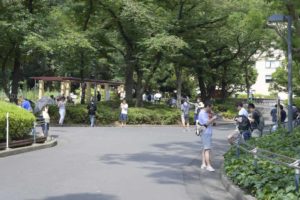 ［6］ポケモンの捕獲場所！？