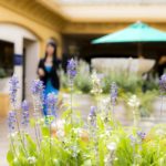 ［6］海外の雰囲気をを感じる夢の国！