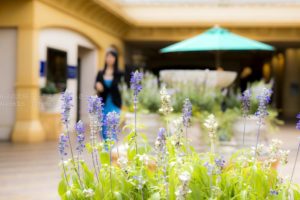 ［6］海外の雰囲気をを感じる夢の国！