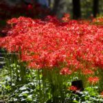 ［6］Week 24 : Sparkle!