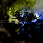 ［6］Week 21 : Fantasy