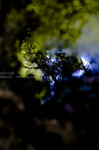 ［6］Week 21 : Fantasy