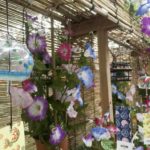 ［6］日本のおもてなしの心