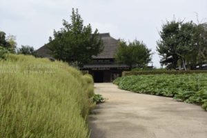 ［6］秋の深まりを都市農業公園で感じる