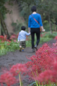 ［6］花を見るより石投げ遊び！！