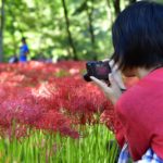［6］曼珠沙華とカメラ女子