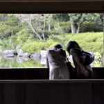 ［6］Week 25 : Silhouette