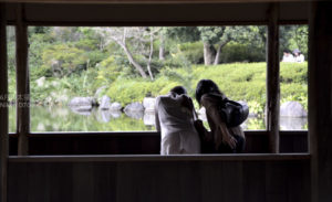 ［6］Week 25 : Silhouette