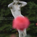 ［6］神代植物公園で撮るセクシーショット（笑）