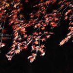 ［6］Week 26 : Simplify