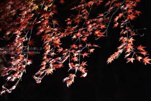 ［6］Week 26 : Simplify