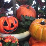［6］カボチャでお馴染み、ハロウィン！