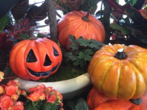 ［6］カボチャでお馴染み、ハロウィン！