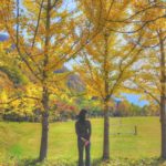 ［6］紅葉を見に出かけてみませんか！？