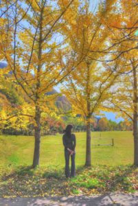 ［6］紅葉を見に出かけてみませんか！？