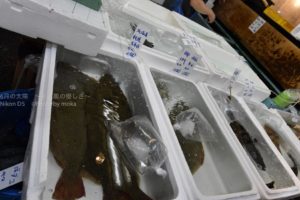 ［6］築地市場に並ぶブランド魚たち