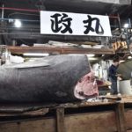 ［6］築地市場といえばマグロでしょ！？