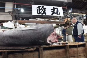 ［6］築地市場といえばマグロでしょ！？