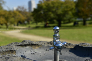 ［6］ズームと前ボケを使ったカメラ遊び！