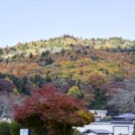 ［6］忍野八海で見た、色とりどりの紅葉