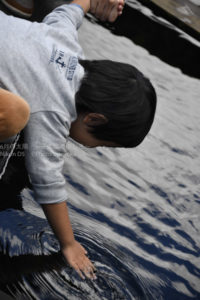 ［6］湧き水とニジマスと子供