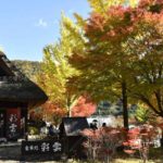 ［6］西湖いやしの里根場の紅葉が見頃