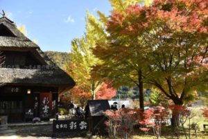 ［6］西湖いやしの里根場の紅葉が見頃