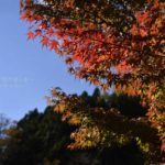 ［6］澄んだ青空と白い雲と富士山