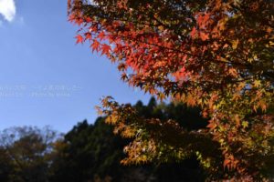 ［6］澄んだ青空と白い雲と富士山