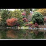 ［6］昭和記念公園の日本庭園を額縁に入れて