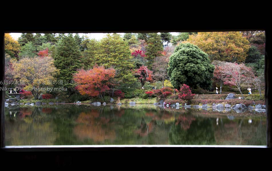 ［6］昭和記念公園の日本庭園を額縁に入れて