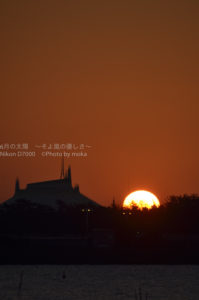 ［6］２０１７年　謹賀新年